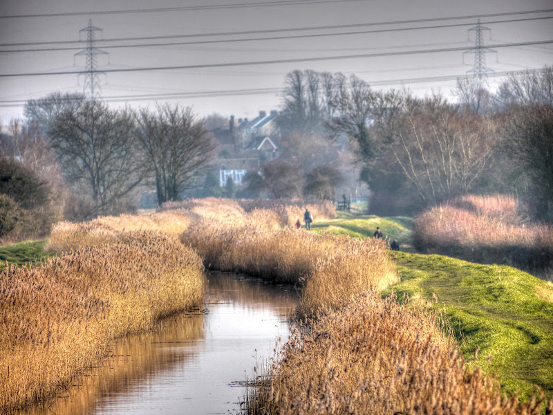 Keep Pushing Those Pedals Pavements are for Parking, Bikes give way to