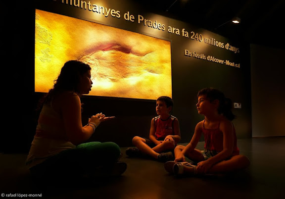 Museu d'Alcover, secció de Palentologia. Visita guiada per a famílies i escolars.Alcover, Alt Camp, Tarragona