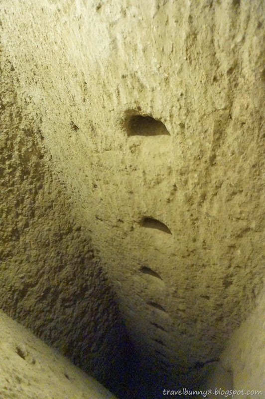 DSC00459 DSC00459