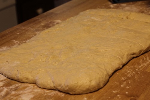 [no-knead-pizza-dough0105.jpg]