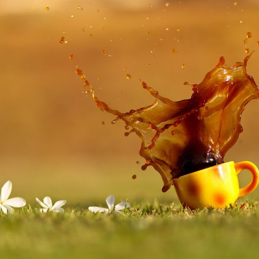 Hd-141244-ascw141244