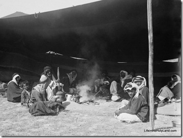 Bedouin hospitality, having coffee in sheikh's tent, mat05980