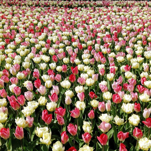 Hd-147600-ascw147600