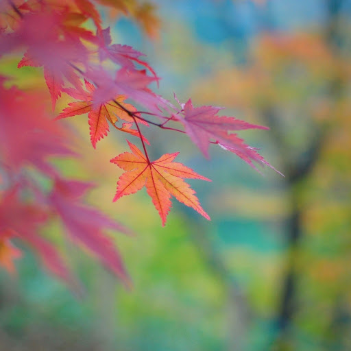 Hd-143263-ascw143263