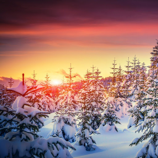 Hd-164307-ascw164307