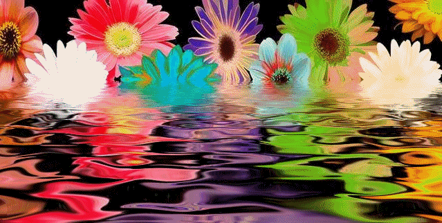 Flores e agua