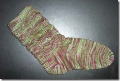 Rambutan Sock 1