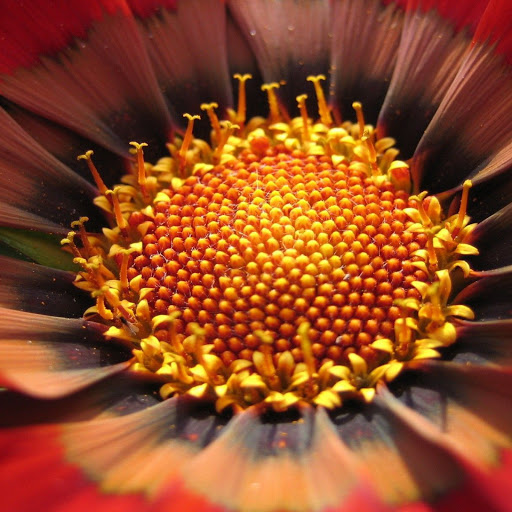 Hd-140084-ascw140084