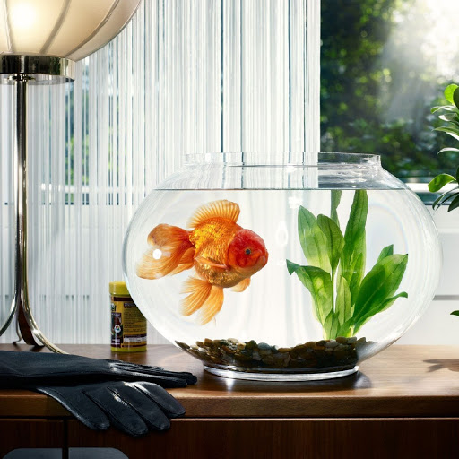 Hd-138036-ascw138036