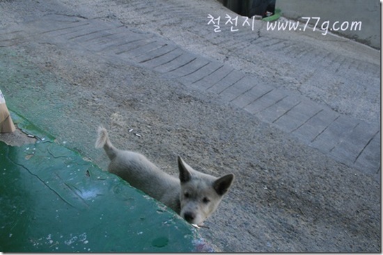 철천지IMG_3579-20110906-154019