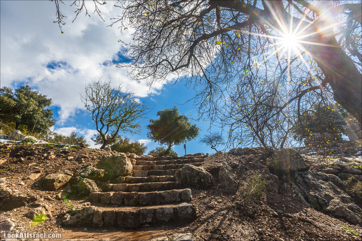 LookAtIsrael.com - Снег в крепости Нимрод, Израиль | Snow in Nimrod fortress, Israel | שלג במבצר נמרוד