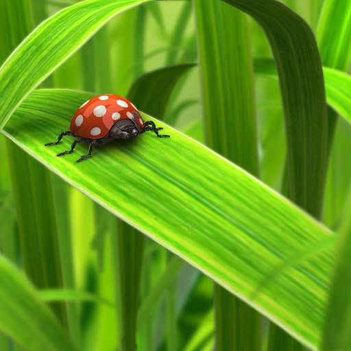 Hd-171235-ascw171235