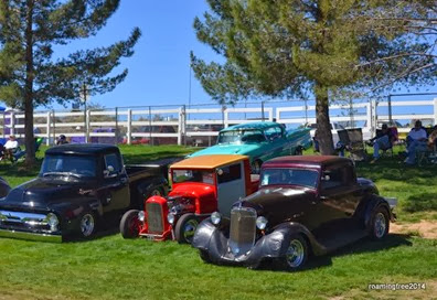 These guys got a nice spot in the shade!