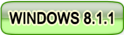 WINDOWS-8.1.11222[2][2][2]