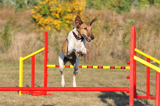 DSC_8832.JPG
