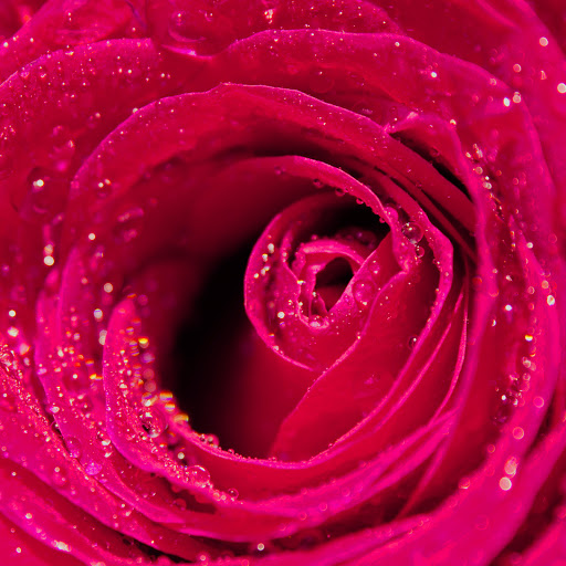 Hd-163659-ascw163659