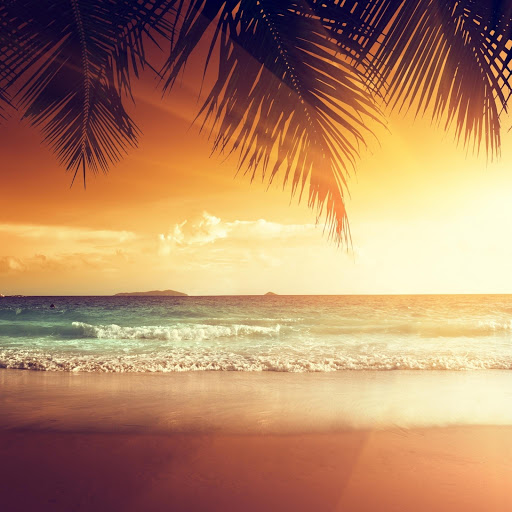 Hd-167019-ascw167019