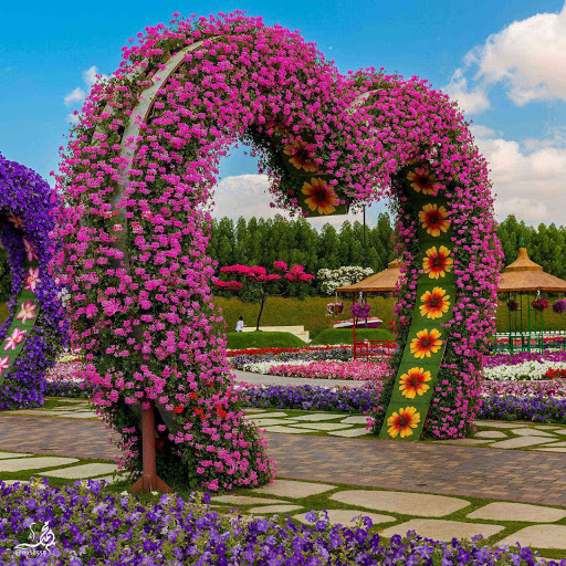 Hd-134331-ascw134331