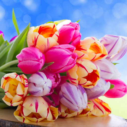 Hd-151171-ascw151171