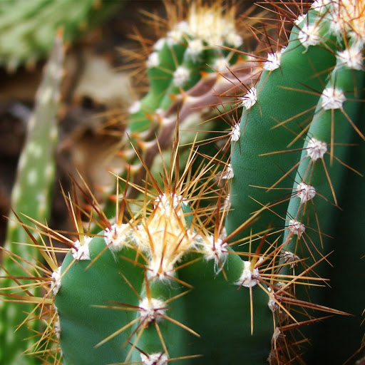 Hd-179886-ascw179886