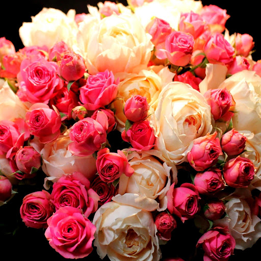 Hd-148725-ascw148725