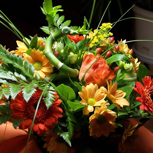 Hd-177499-ascw177499