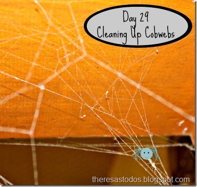 Day 29 Cleaning Up Cobwebs