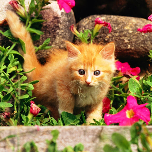 Hd-146289-ascw146289