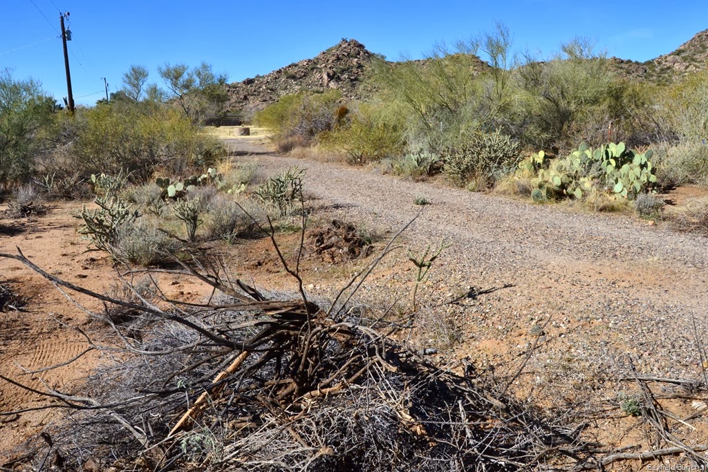 [DSC_0007%255B8%255D.jpg]