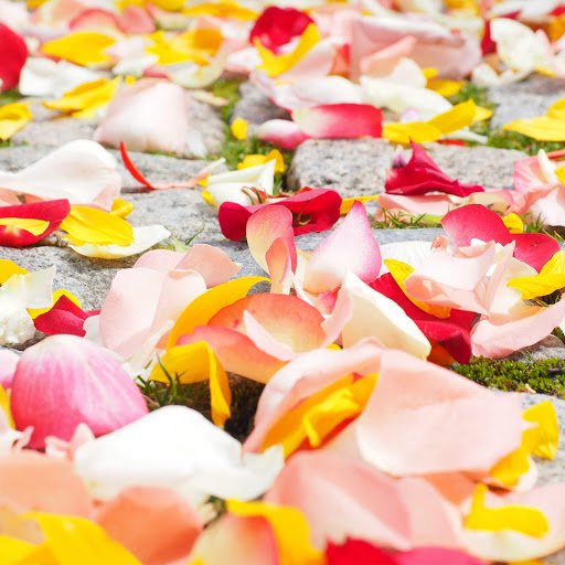 Hd-183628-ascw183628