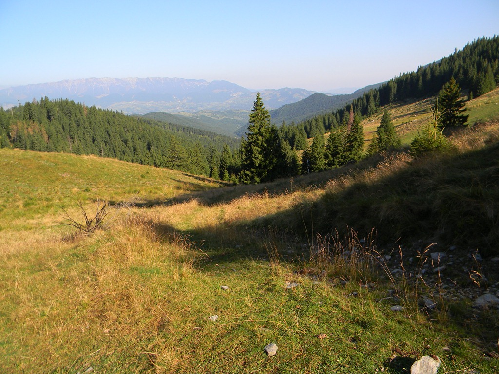 [DSCN11133.jpg]