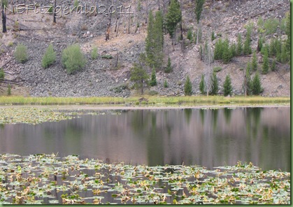 IMG_8934Beaver Lodge_Harlequin Lake IMG_8934Beaver Lodge_Harlequin Lake