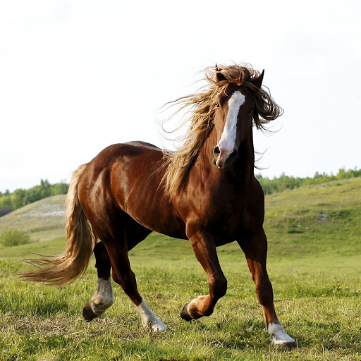 Hd-178632-ascw178632