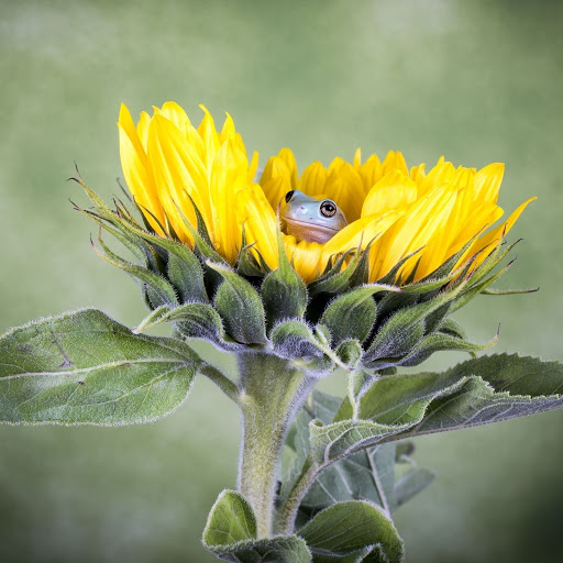 Hd-156091-ascw156091