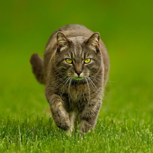 Hd-144289-ascw144289