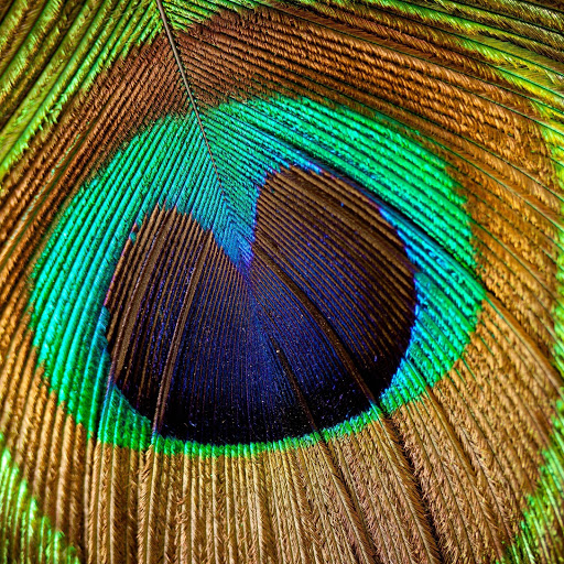 Hd-162586-ascw162586