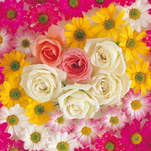 Hd-131924-ascw131924