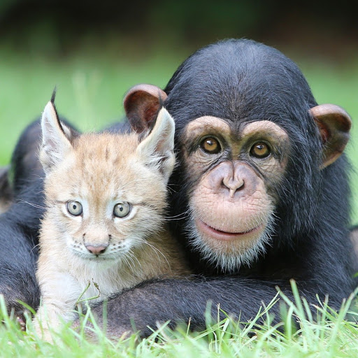 Hd-181572-ascw181572