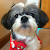 Cynthia Fan Avatar