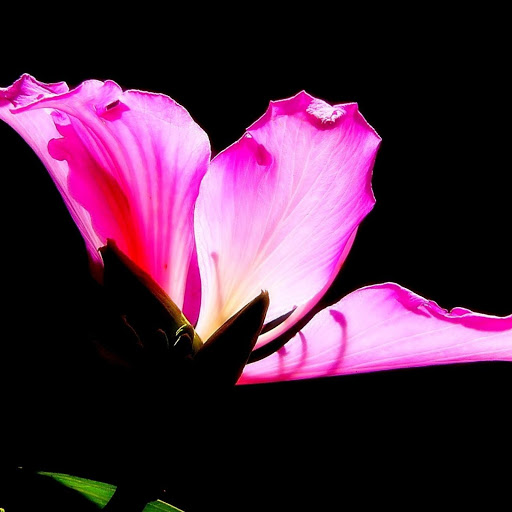 Hd-146793-ascw146793