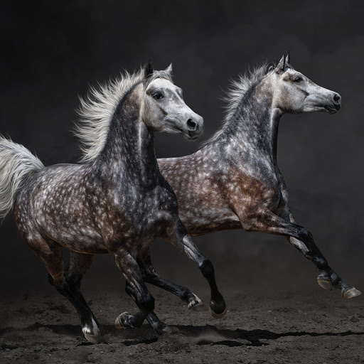 Hd-162584-ascw162584