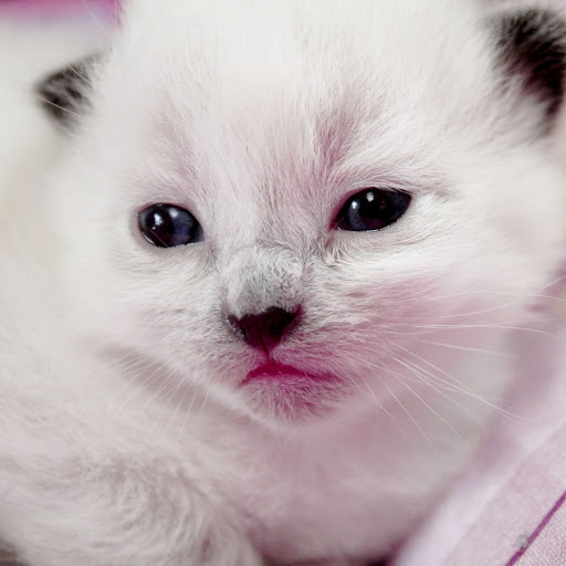 Hd-154405-ascw154405