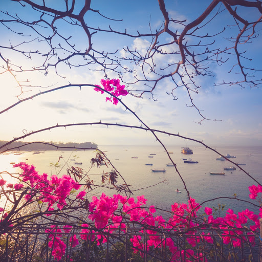 Hd-186015-ascw186015