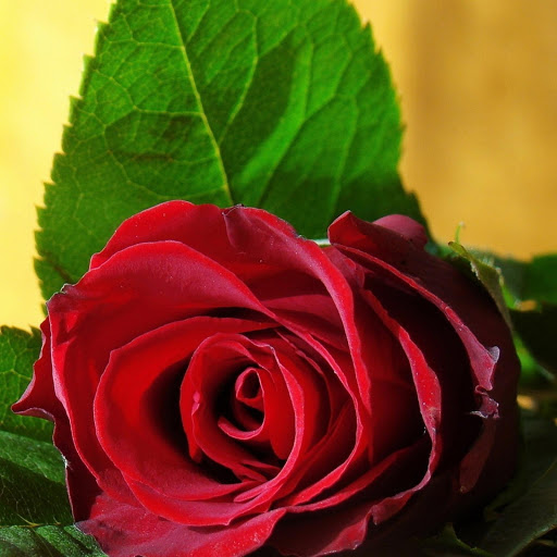 Hd-177291-ascw177291