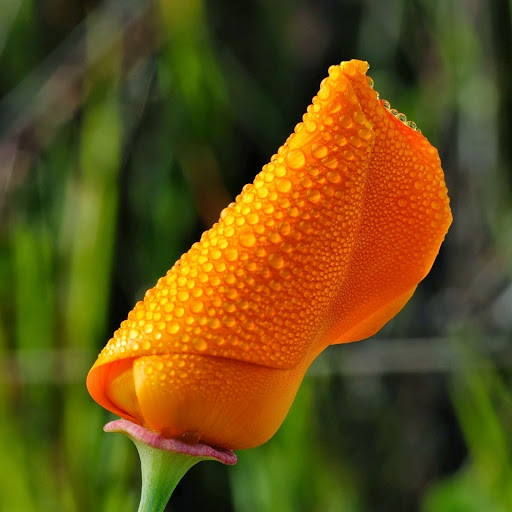 Hd-174945-ascw174945