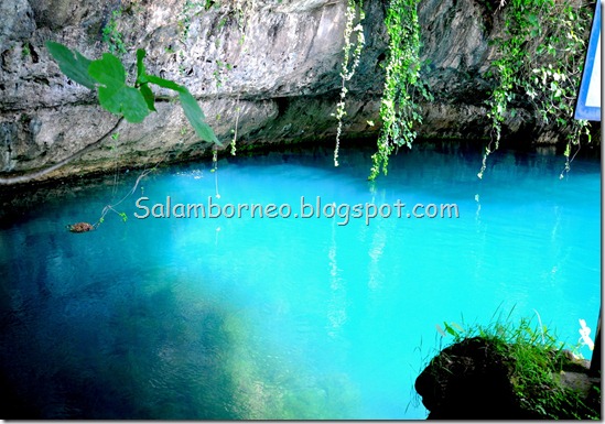 DSC_1506_Fotor DSC_1506_Fotor
