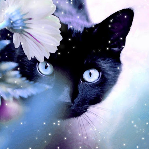 Hd-142516-ascw142516