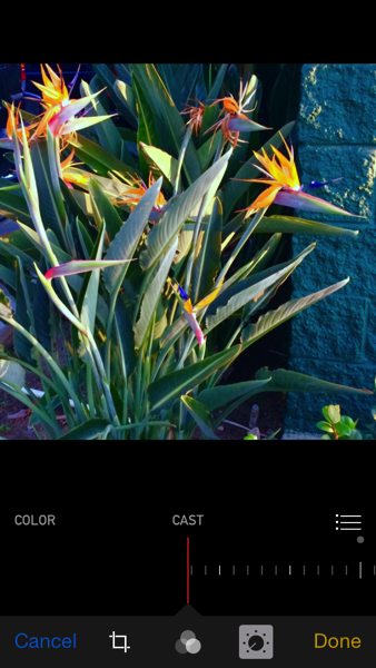 IMG_7953.PNG iOS 8 photos app cool color cast