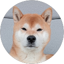 Rosemarie Pleij profielfoto