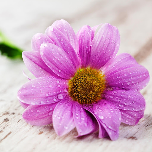 Hd-157651-ascw157651